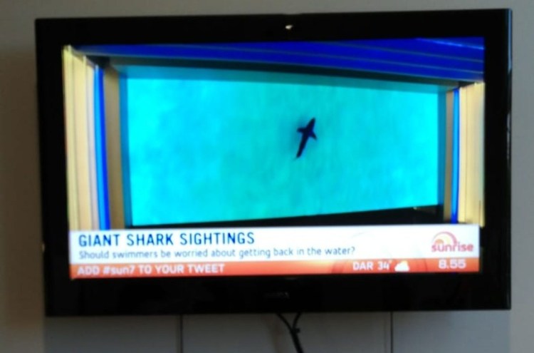 Screenshot_20190517-205121